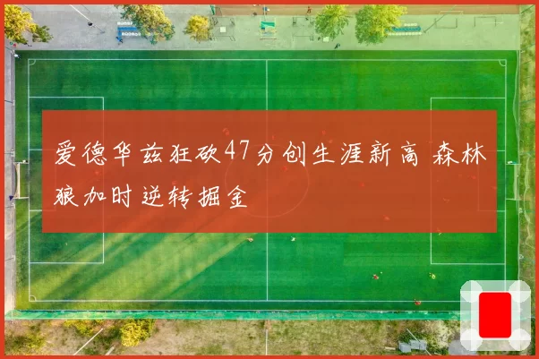 爱德华兹狂砍47分创生涯新高 森林狼加时逆转掘金