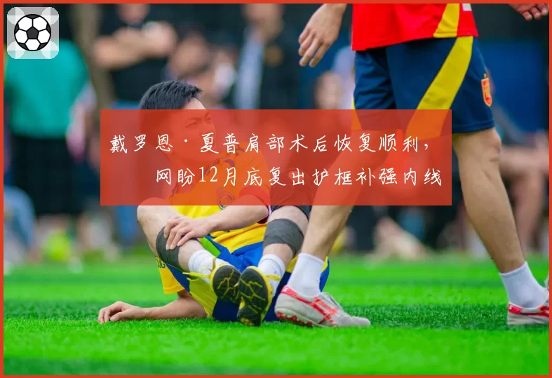 戴罗恩·夏普肩部术后恢复顺利，篮网盼12月底复出护框补强内线