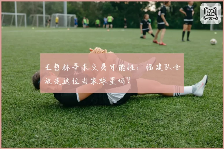 王哲林寻求交易可能性,福建队会放走这位当家球星吗?