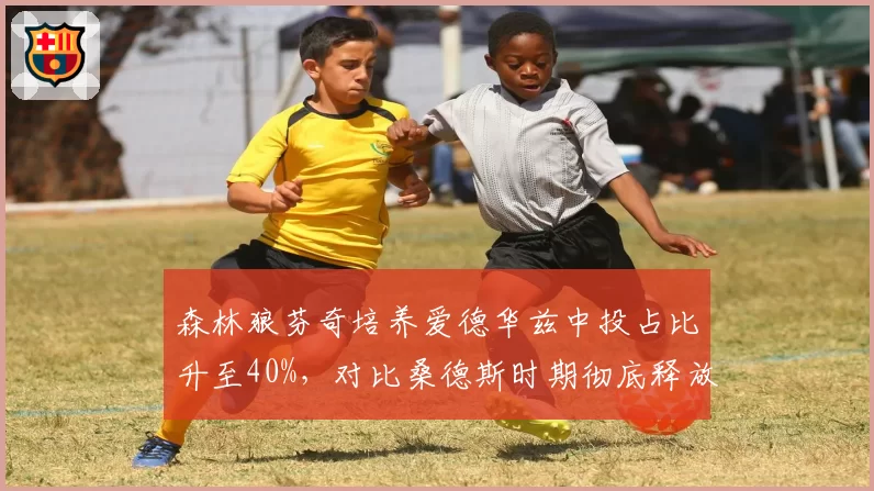 森林狼芬奇培养爱德华兹中投占比升至40%,对比桑德斯时期彻底释放天赋