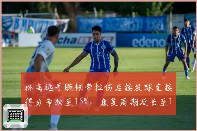 林高远手腕韧带拉伤后接发球直接得分率跌至15%，康复周期延长至12周